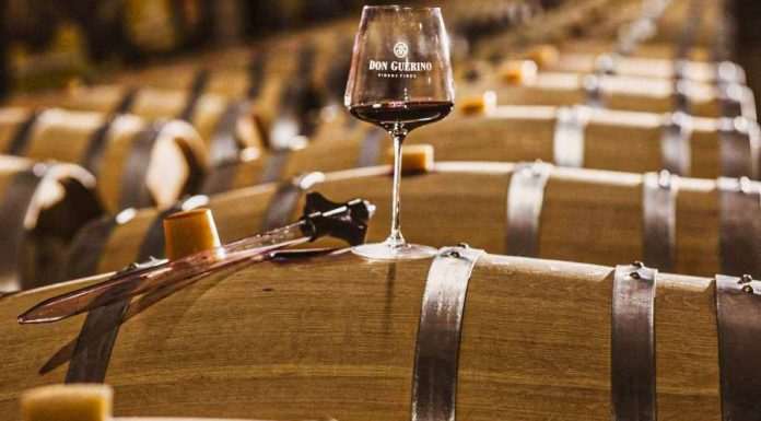 Evino aproxima pequeno produtor brasileiro do consumidor