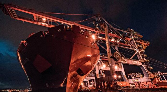 Interesse no leilão de terminais do Porto de Santos surpreende o governo