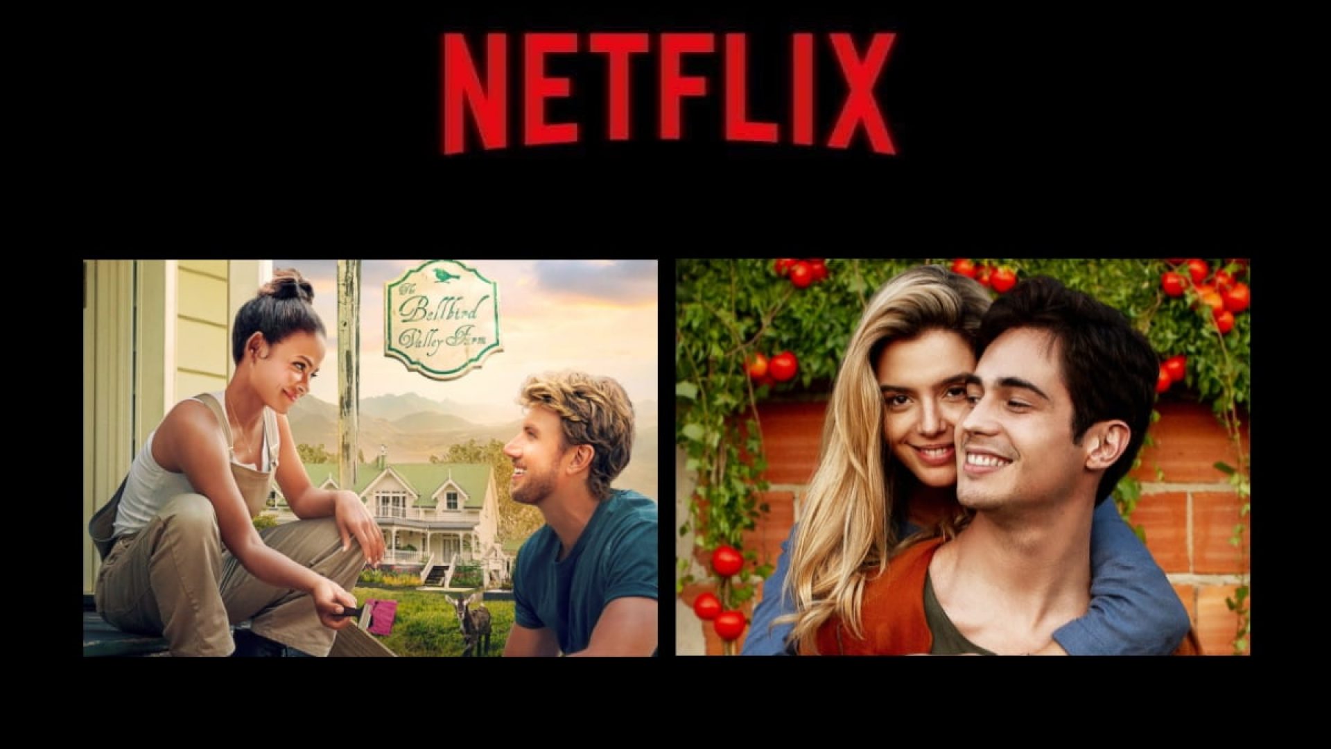 netflix-divulga-lista-com-seus-melhores-filmes-de-romance-gest-o-de