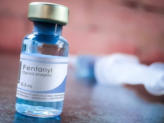 Vacina para prevenir overdose de heroína e fentanil será testada em humanos