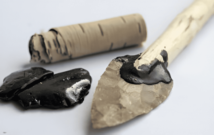 “Chiclete” de 10 mil anos revela hábitos alimentares dos adolescentes da Idade da Pedra