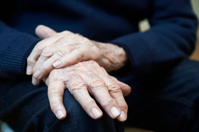 Cães podem farejar Parkinson com 90% de precisão, diz estudo