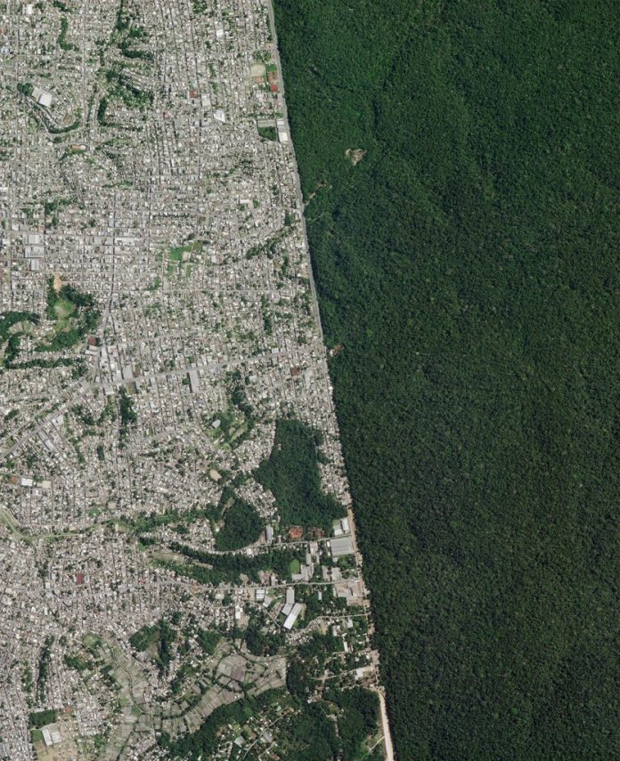 Imagem de satélite mostra divisa entre Manaus e a Floresta Amazônica
