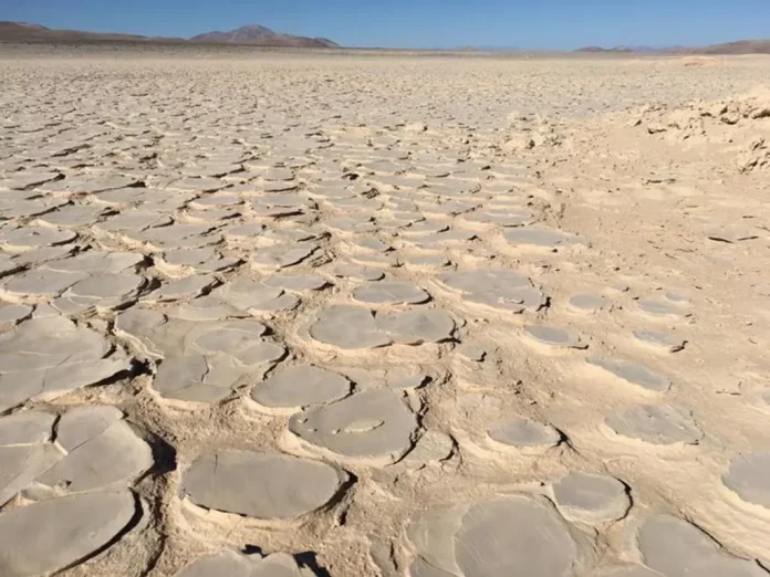 “Universo” de bactérias está escondido abaixo do deserto mais quente e seco do planeta