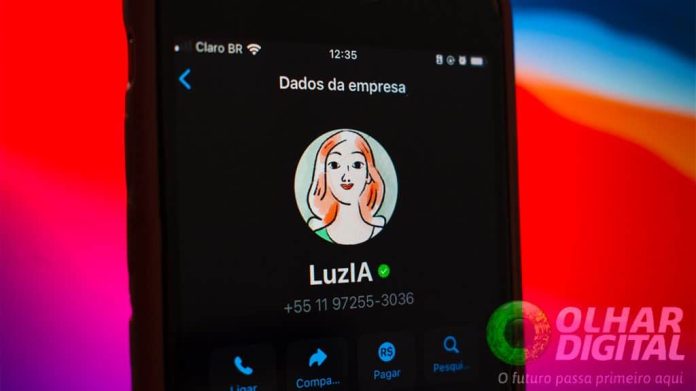 Contato da LuzIA aberto no WhatsApp num iPhone