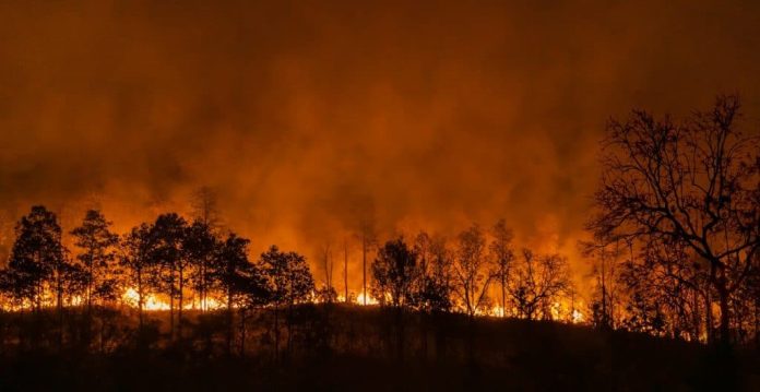 Incêndios florestais/fenômenos