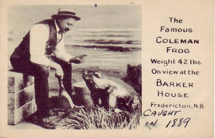 A história do sapo gigante que tomava uísque e comia feijão