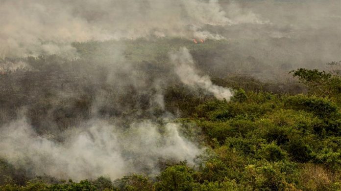 Visão aérea de queimadas no Brasil