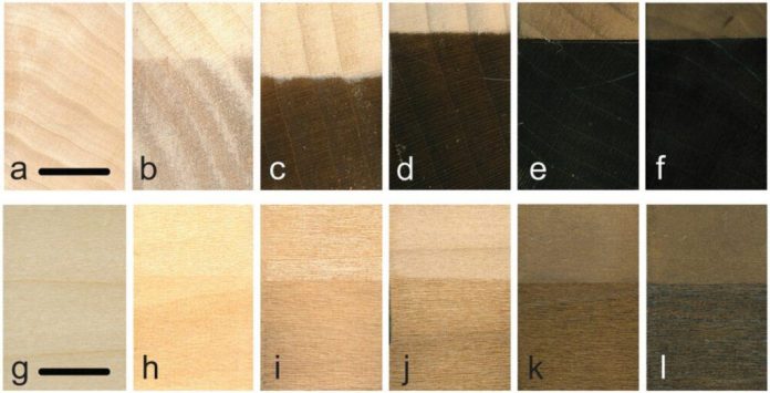 Amostras da madeira em fases para a criação do material super escuro