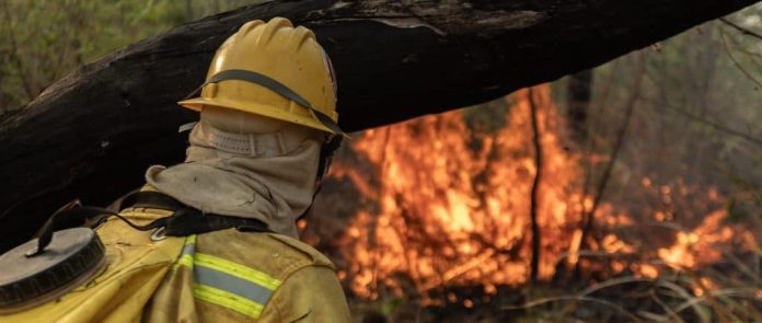 homem combate incêndio em terra indígena