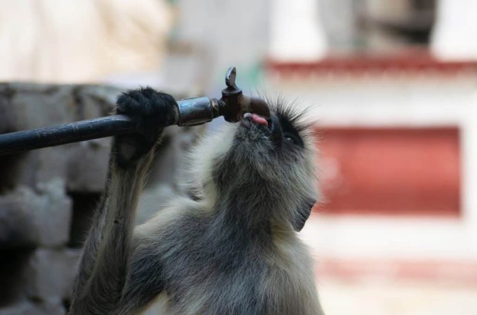 Mudanças climáticas causaram 41 dias de calor perigoso no mundo em 2024