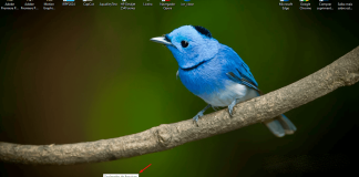 Passo 1 para alterar wallpaper no Windows 10
