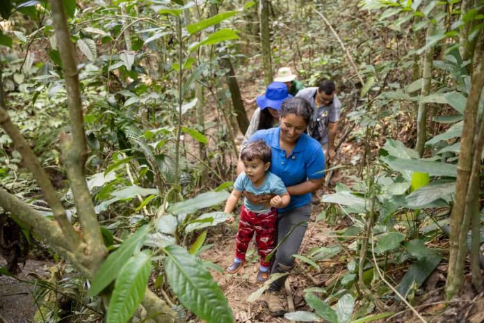 Conheça o projeto de Sebastião Salgado que ‘ressuscitou’ uma floresta