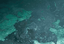 Erupção no fundo do mar: cientistas testemunham evento raro