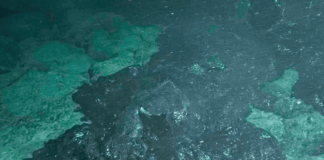 Erupção no fundo do mar: cientistas testemunham evento raro