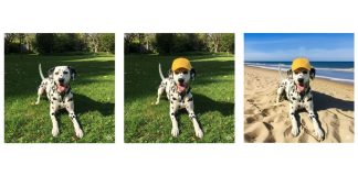 Montagem com imagens geradas pelo Gemini e alteradas por meio do novo recurso de edição