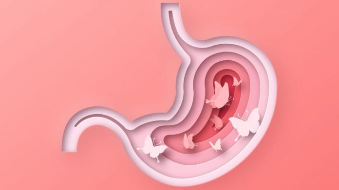 Ilustração realista em recorte 3D de um estômago humano com borboletas dentro. Conceito de nervosismo, emoção romântica ou ansiedade. / Crédito: Dedraw Studio (Shutterstock/reprodução)