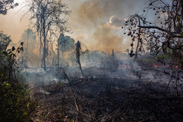 Amazônia devastada pelo fogo