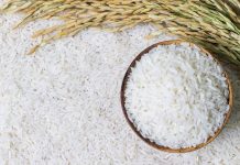 arroz-cultivo-china