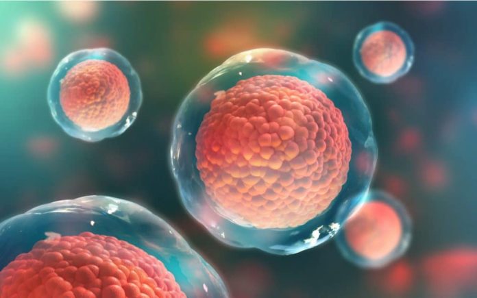 Avanço contra diabetes: estudo com células-tronco mostra resultados inéditos