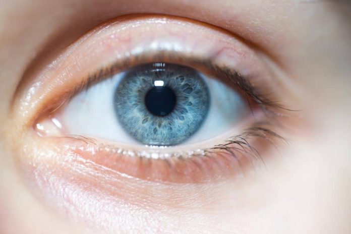 Quando os humanos começaram a ter olhos azuis?