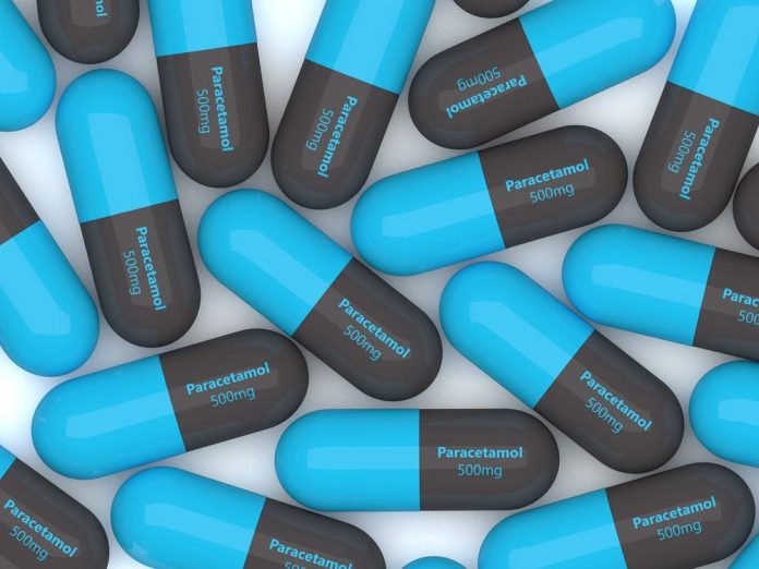 Analgésicos estão prejudicando a vida marinha, diz estudo brasileiro