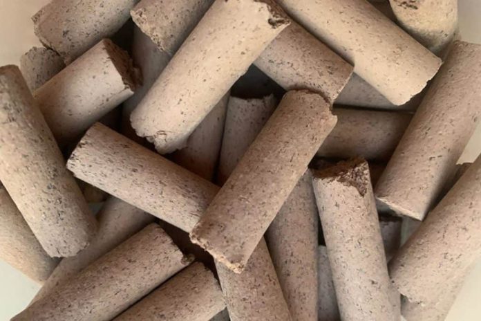 Peças de argila cerâmica produzidas com sargaço