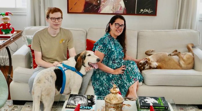 ‘Adote um Bom Velhinho’: campanha busca famílias para 84 cães e gatos idosos em São Paulo