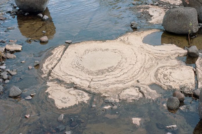 IA detecta sinais antigos de vida em rochas da Terra primitiva
