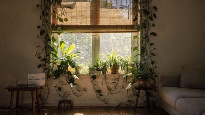 O ar-condicionado natural dos japoneses que gela a casa sem gastar energia elétrica