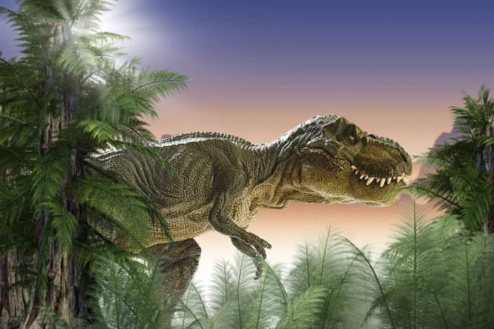 tiranossauro rex andando em meio a natureza.