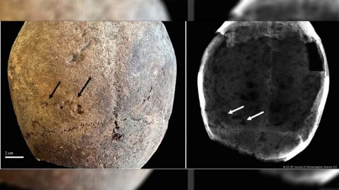 Cocaína, cannabis e nicotina encontradas em múmias do Egito são investigadas  