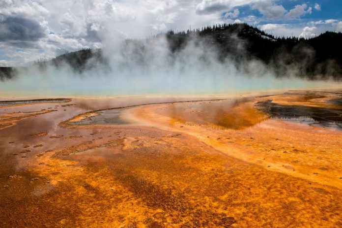 Gêiser no parque Yellowstone