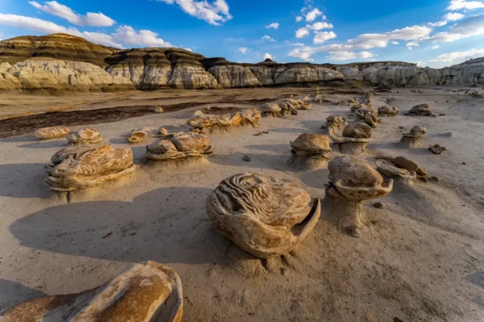  Badlands de Bisti